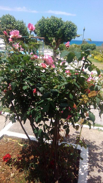 Andy'S Gardens Apartment Gerani  Екстериор снимка